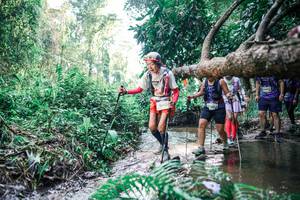 BIB: 
                            <button type="button" onclick="openModal(25460736)" class="btn btn-primary btn-sm float-right btn-popup" data-toggle="modal" data-target=".modal-high-quality">
                        <i class="fas fa-shopping-cart"></i> Add to Cart
                    </button>
                                            <button type="button" onclick="isThisMe(25460736, true)" class="btn btn-success btn-sm float-right btn-popup btn-isme hidden" data-toggle="tooltip" data-placement="bottom" title="นี่คือรูปของคุณใช่ไหม คลิกที่นี่เพื่อเอาเข้าอัลบั้ม">
                        <i class="fas fa-plus"></i> Add to album
                    </button>
                    <button type="button" onclick="isThisMe(25460736, false)" class="btn btn-warning btn-sm float-right btn-popup btn-isnotme hidden">
                        <i class="fas fa-ban"></i> Remove from album
                    </button>